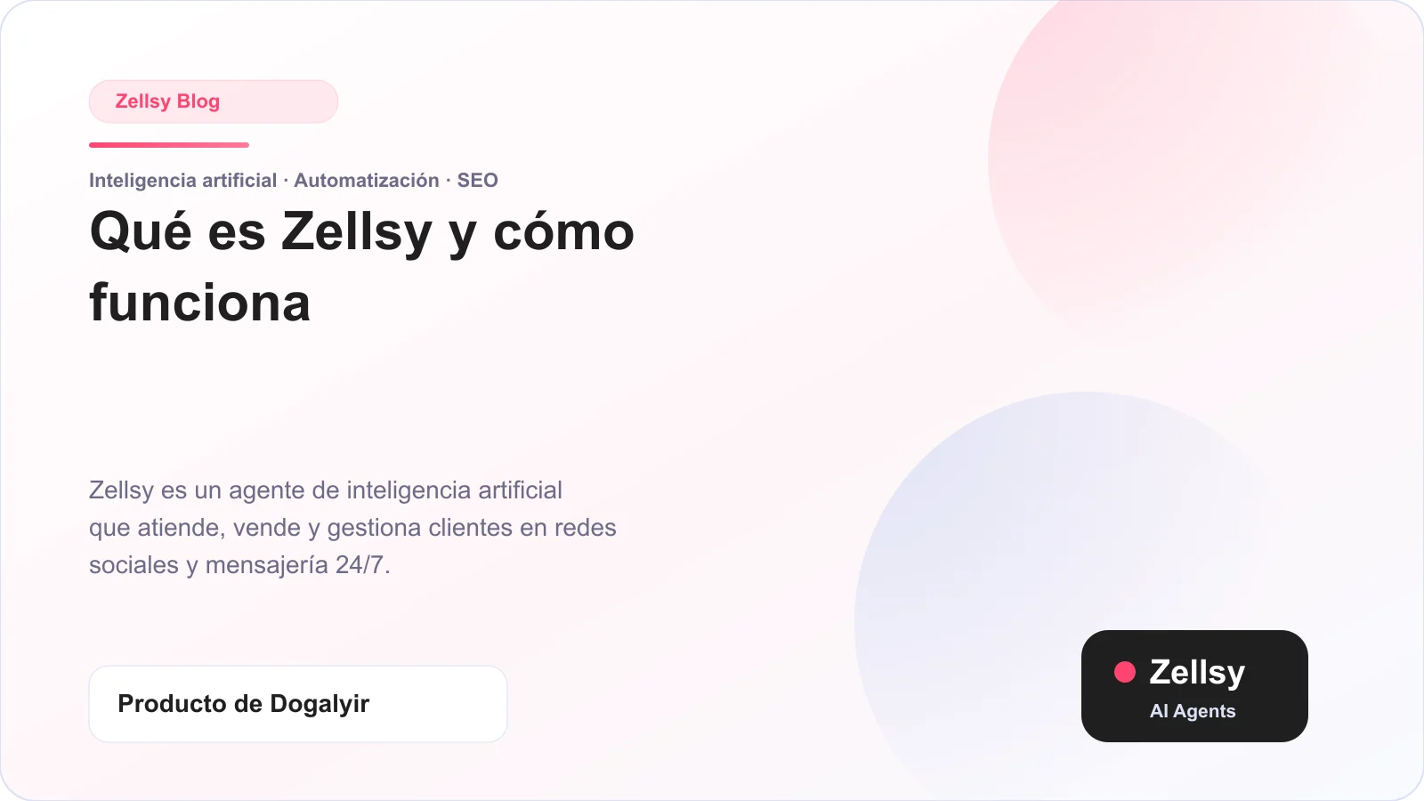 Qué es Zellsy y cómo funciona